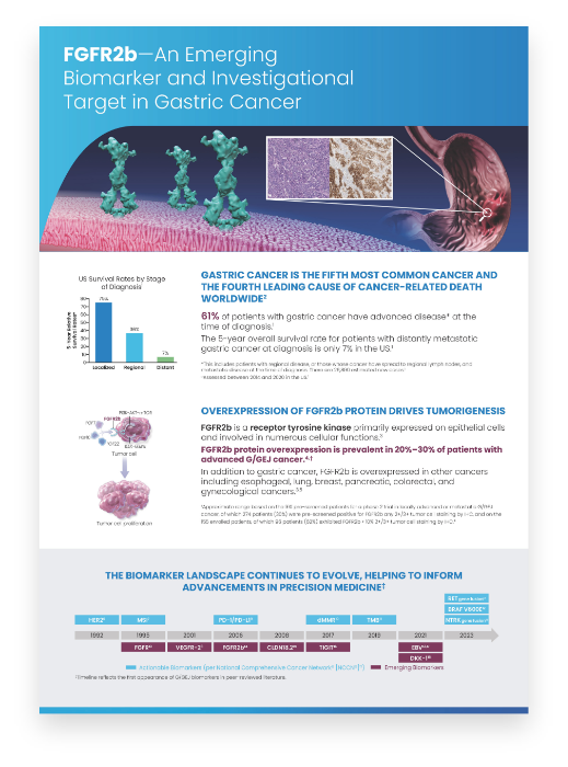 FGFR2b in Gastric Cancer Factsheet