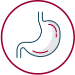 Stomach Icon
